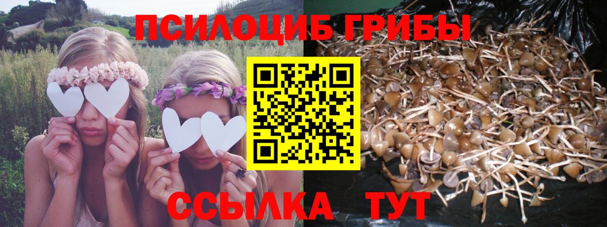 Галлюциногенные грибы прущие грибы Дальнереченск