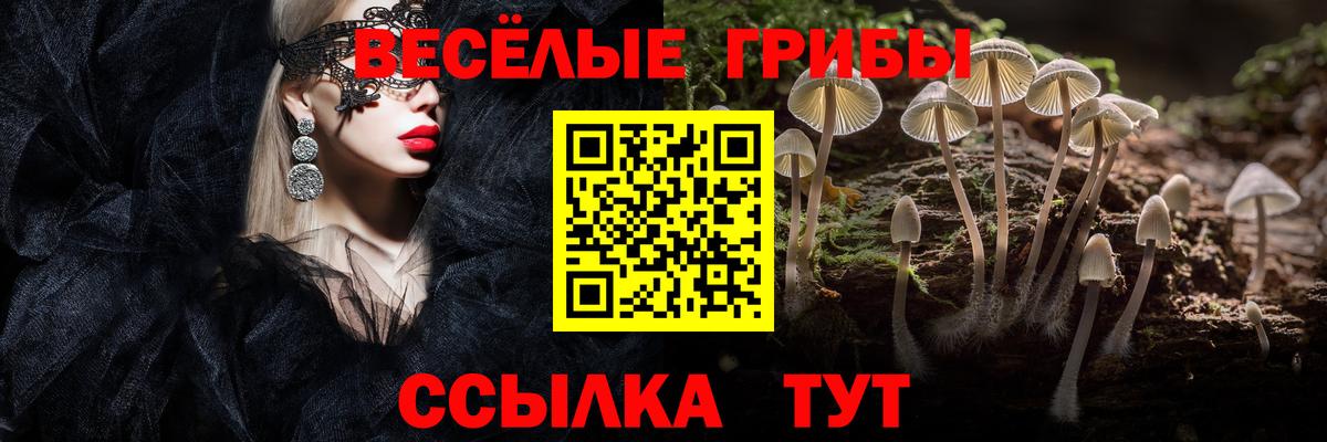 Псилоцибиновые грибы мицелий  Вход с VPN  Дальнереченск 